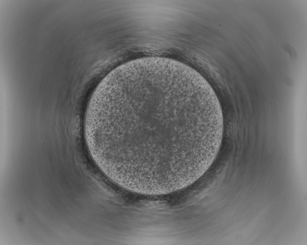 X0000111010689200907171835
