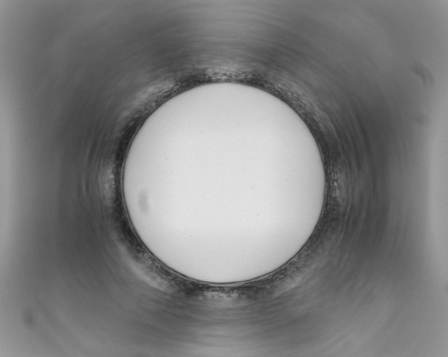 X0000111010690200907171835