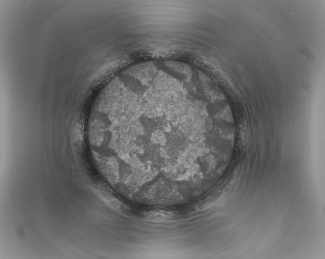 X0000111010691200907171835