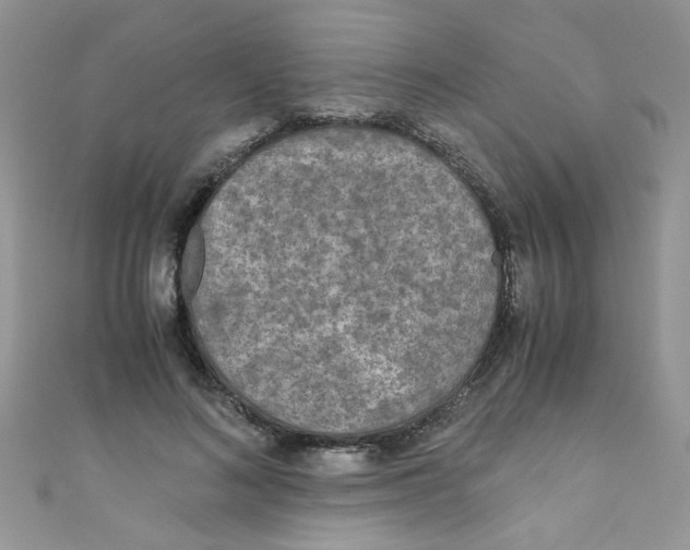 X0000111010692200907171835