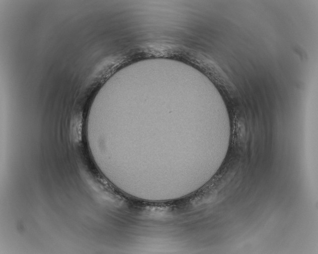 X0000111010694200907171835