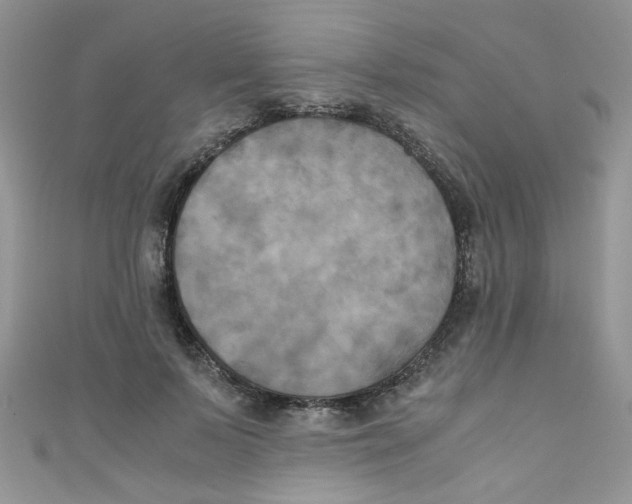 X0000111010695200907171835