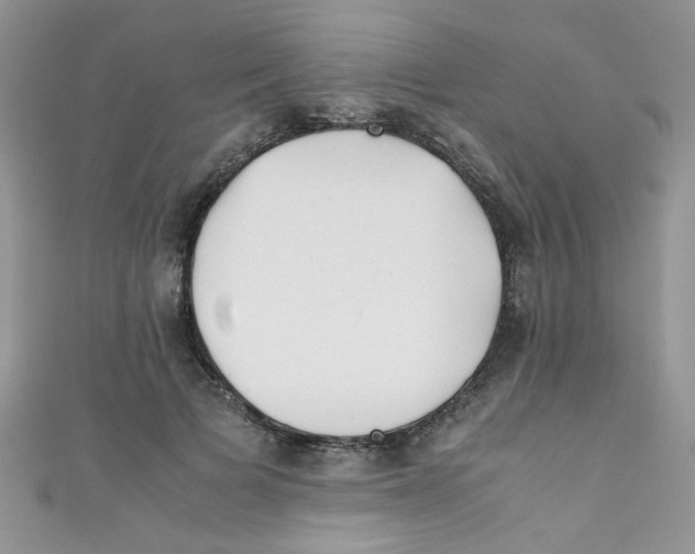 X0000111010697200907171835