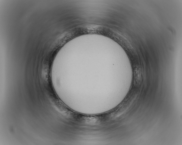 X0000111010698200907171835