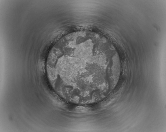 X0000111010699200907171835
