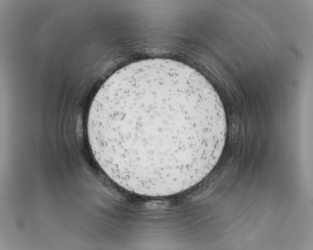 X0000111010700200907171835