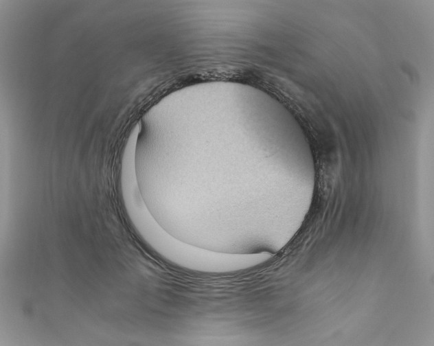 X0000111010701200907171835
