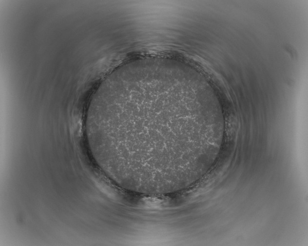 X0000111010703200907171835