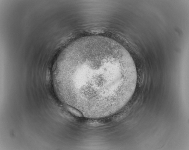 X0000111010704200907171835
