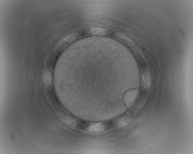 X0000111010705200907171835