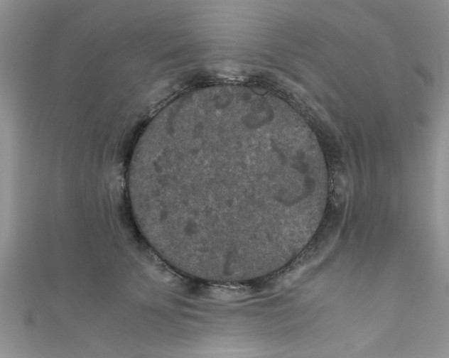 X0000111010707200907171835