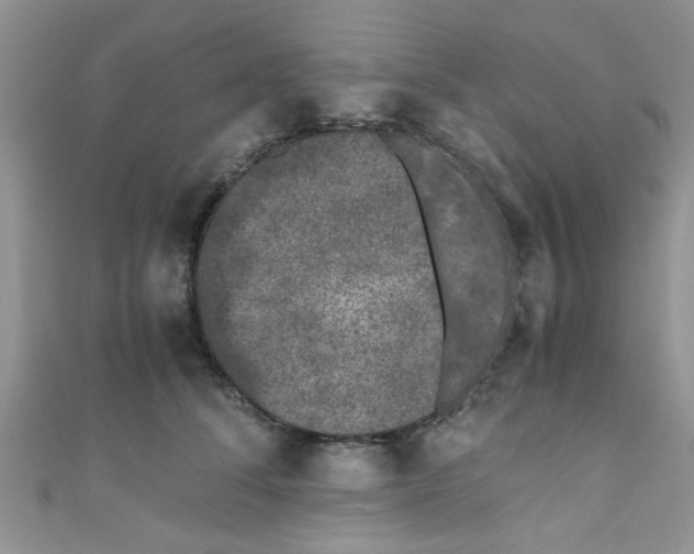 X0000111010708200907171835