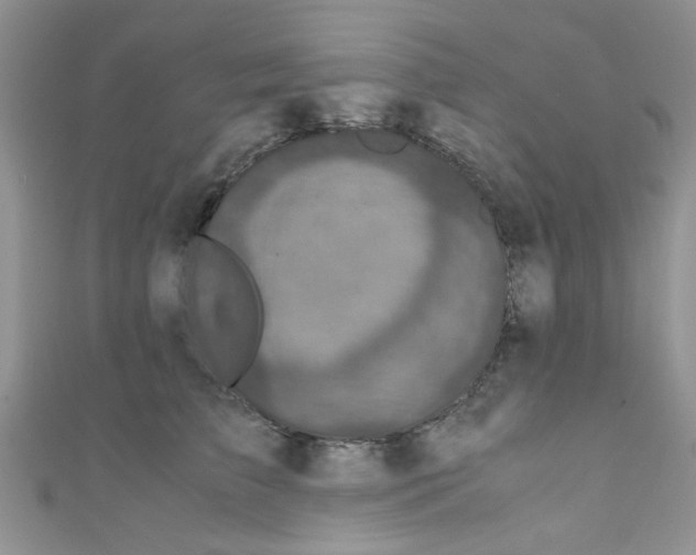 X0000111010709200907171835