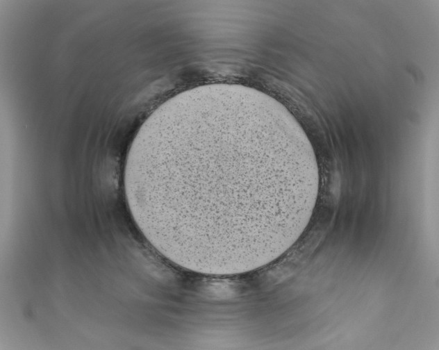 X0000111010710200907171835