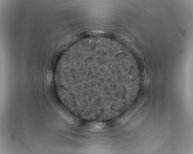 X0000111010711200907171835