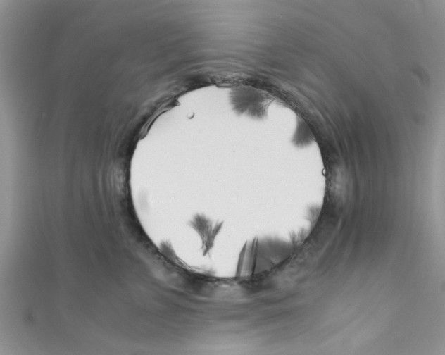 X0000111010715200907171834