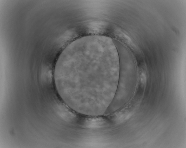 X0000111010716200907171834