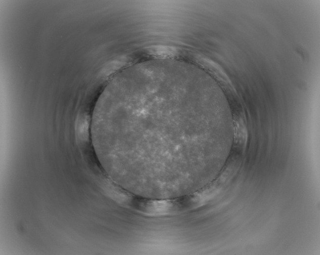 X0000111010717200907171834