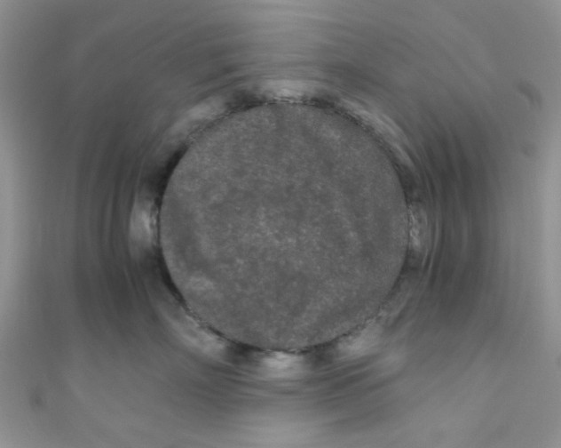 X0000111010718200907171834