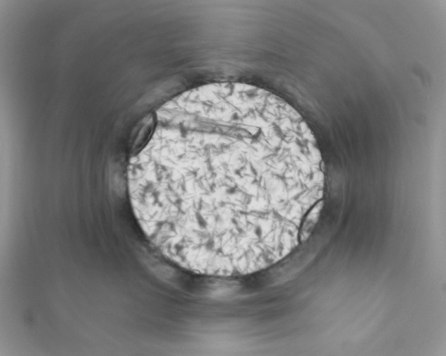 X0000111010719200907171834