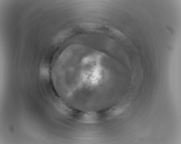 X0000111010720200907171834