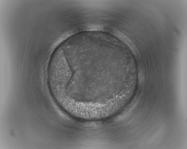 X0000111010721200907171834