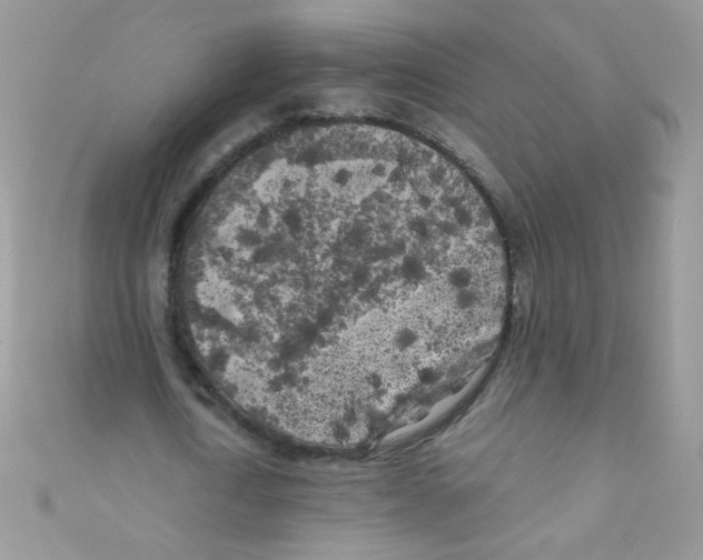 X0000111010722200907171834