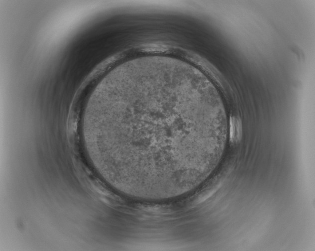 X0000111010723200907171834