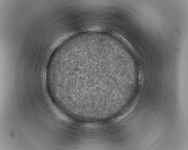 X0000111010725200907171834