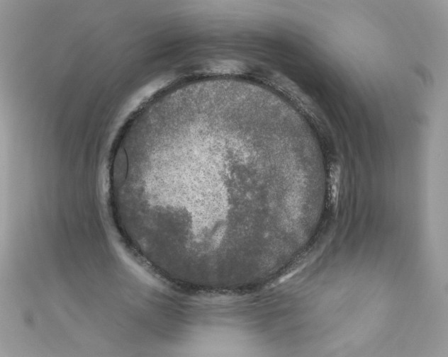 X0000111010726200907171834