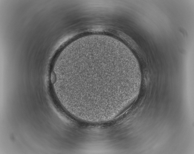 X0000111010728200907171834