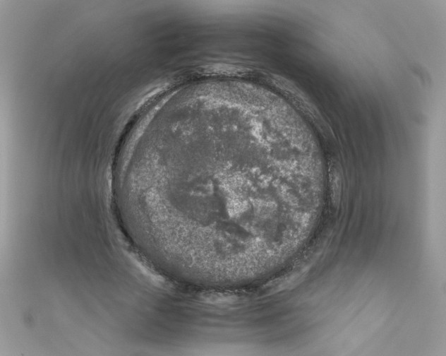 X0000111010729200907171834