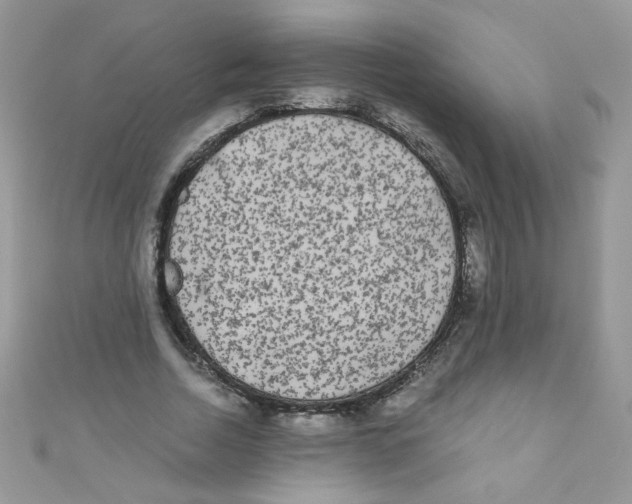 X0000111010730200907171834