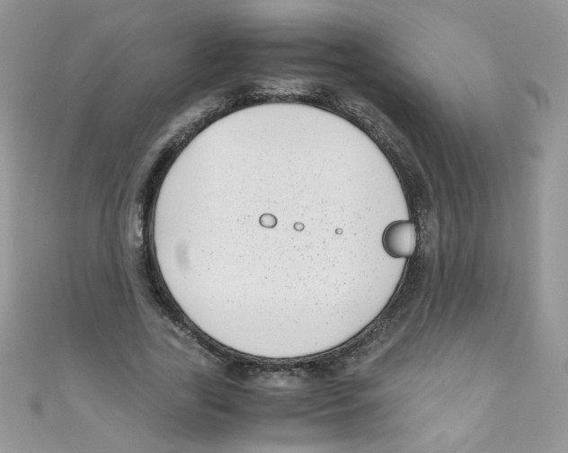 X0000111010731200907171834