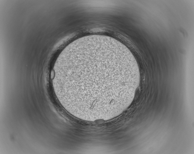 X0000111010732200907171834