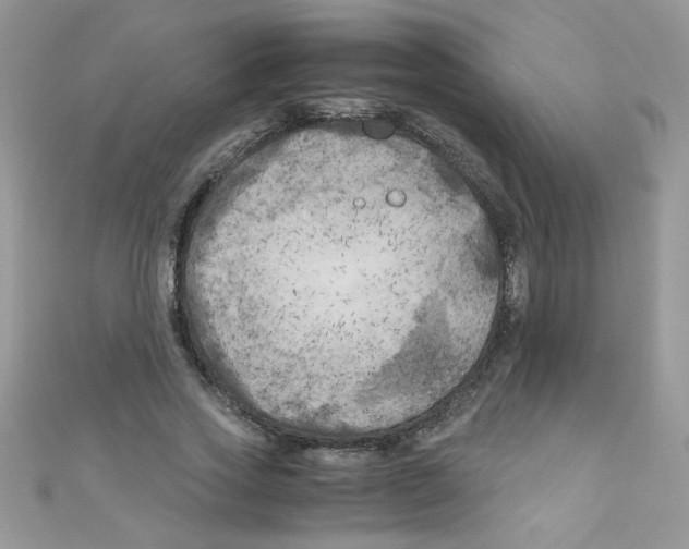 X0000111010733200907171834