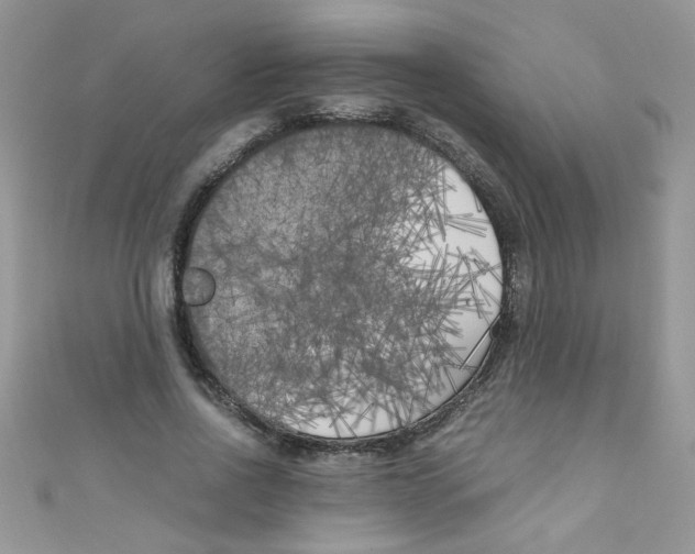 X0000111010734200907171834