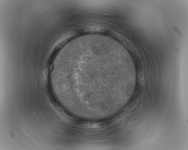 X0000111010735200907171834
