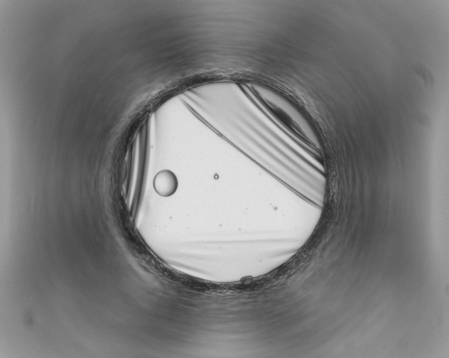 X0000111010736200907171834