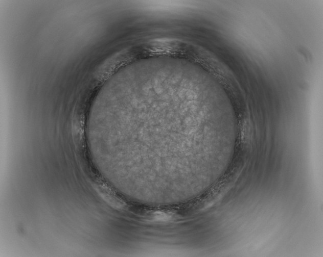 X0000111010737200907171834