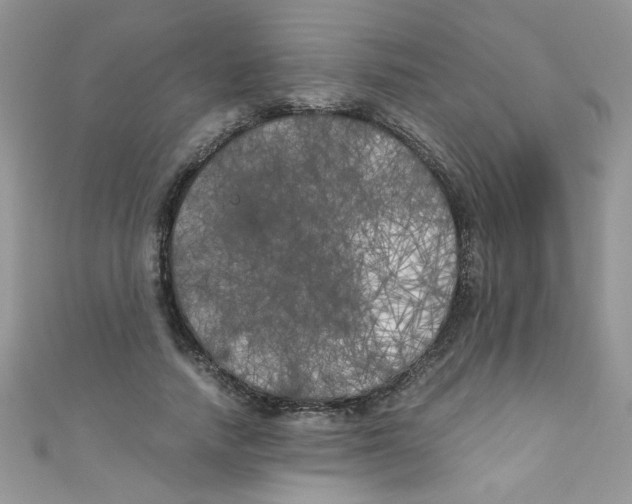 X0000111010738200907171834