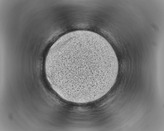 X0000111010739200907171834