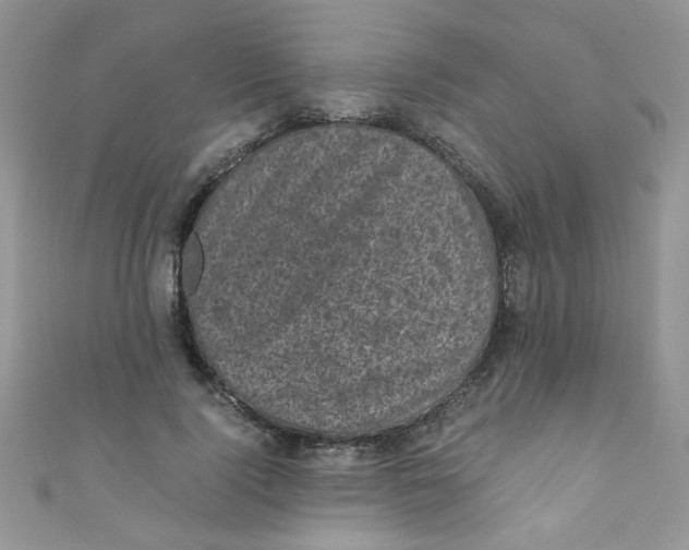 X0000111010740200907171834