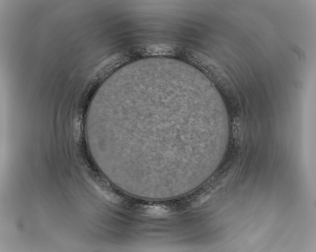 X0000111010741200907171834