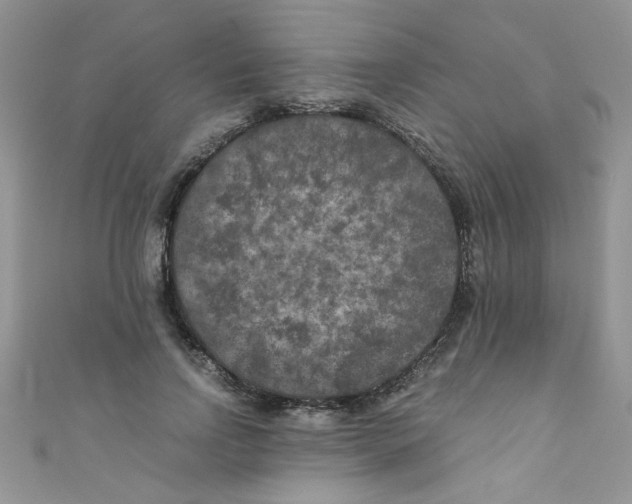 X0000111010742200907171834
