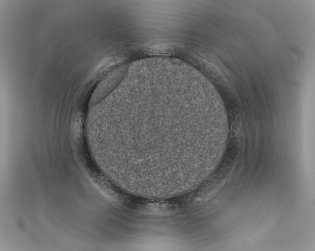 X0000111010744200907171834