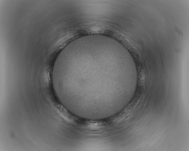 X0000111010746200907171834