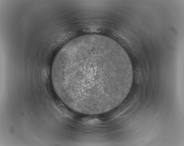 X0000111010747200907171834