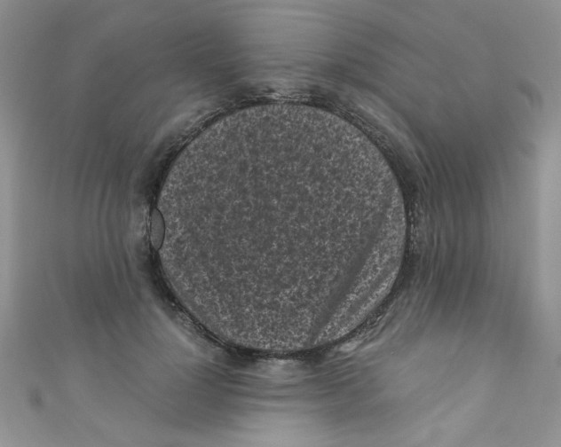 X0000111010748200907171834