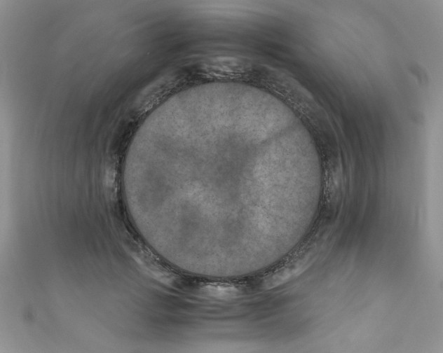 X0000111010749200907171834